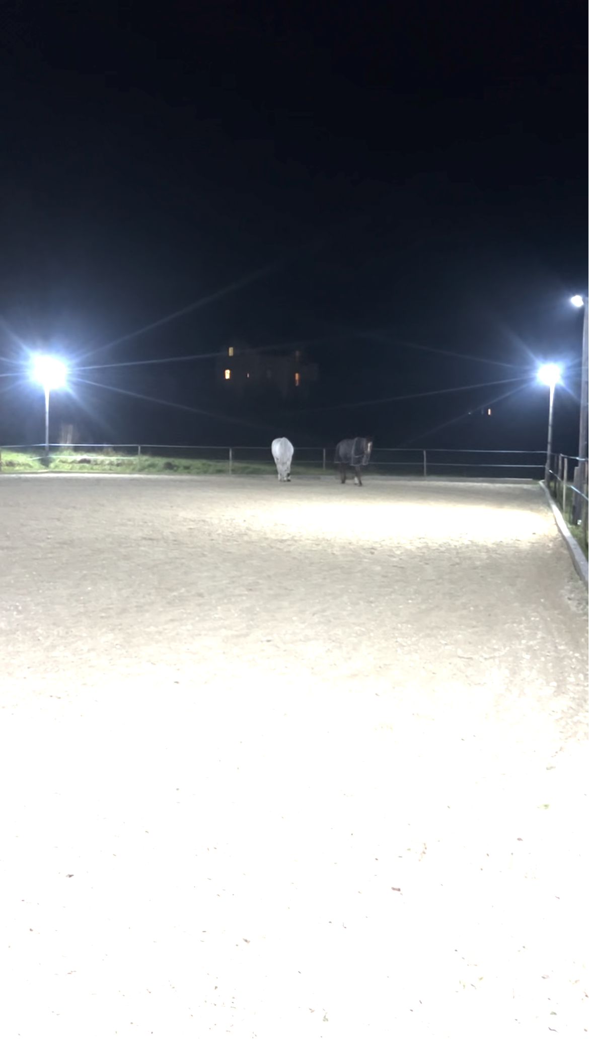 Reitplatz Flutlicht