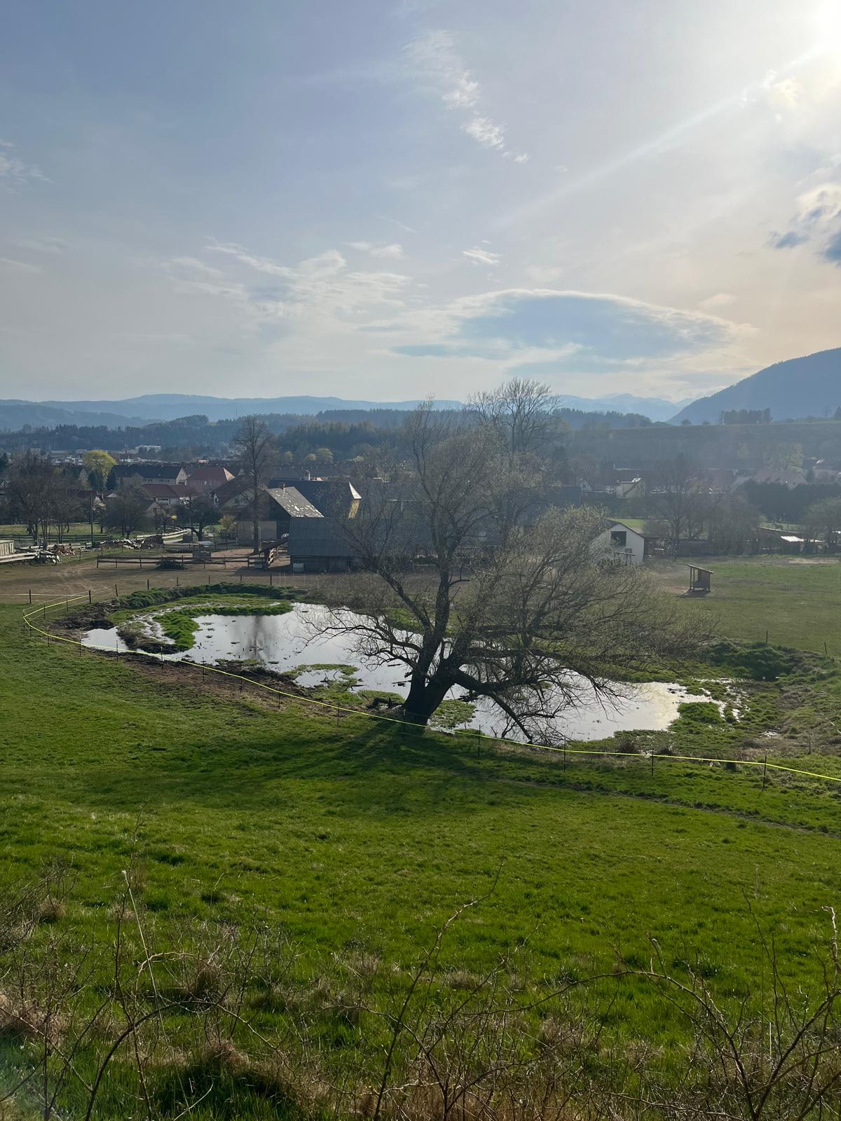 Teich
