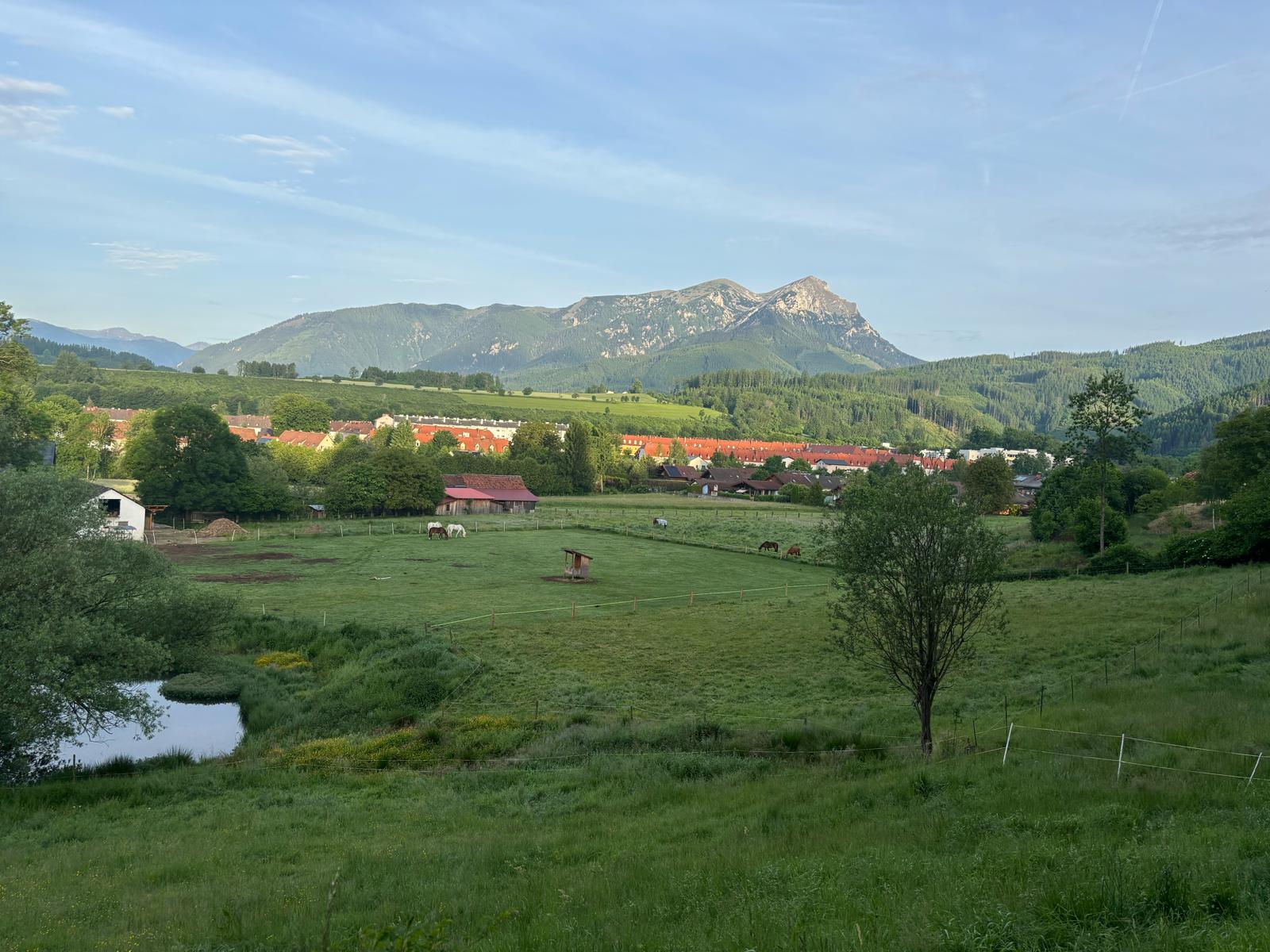 Blick auf das Areal